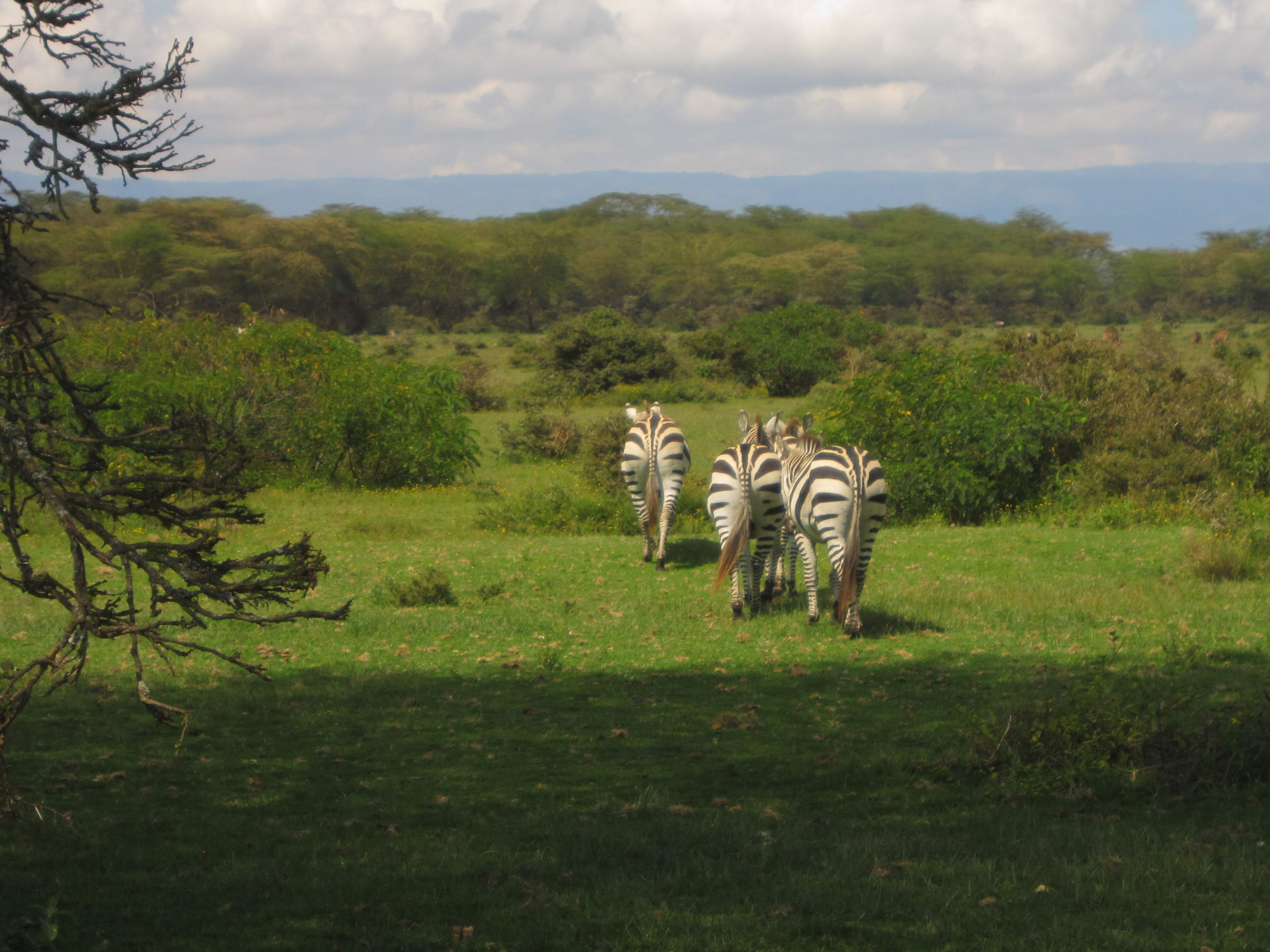 Lake Nakuru National Park
